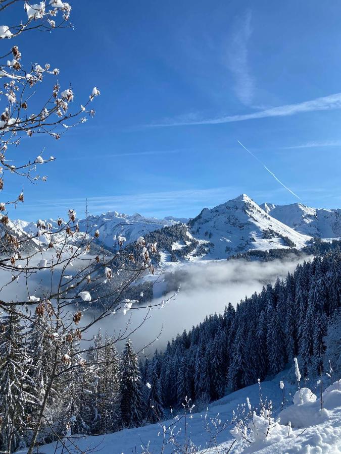 Hotel Rhodos Morzine Avoriaz Dış mekan fotoğraf